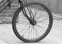 Hist_BicycleWheel_resized